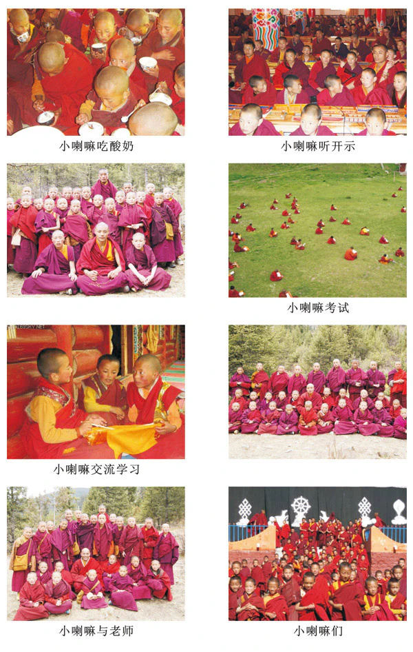 A composite of eight archival photographs documenting young monks eating, receiving teachings, studying, gathering on grass, and posing for group portraits.