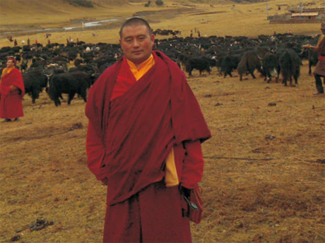 Hor shul Khenpo Gelek Palsang Rinpoche stands in red monastic robes before a large herd of yaks on a pasture.