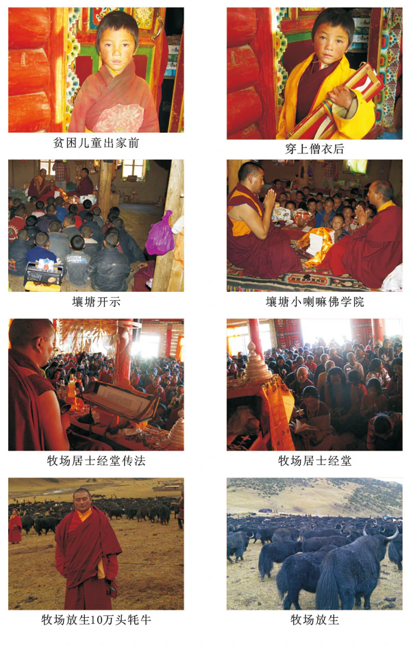 A composite of eight archival photographs in inverted colors, including monastic portraits, classes and gatherings, grassland, and a yak herd.