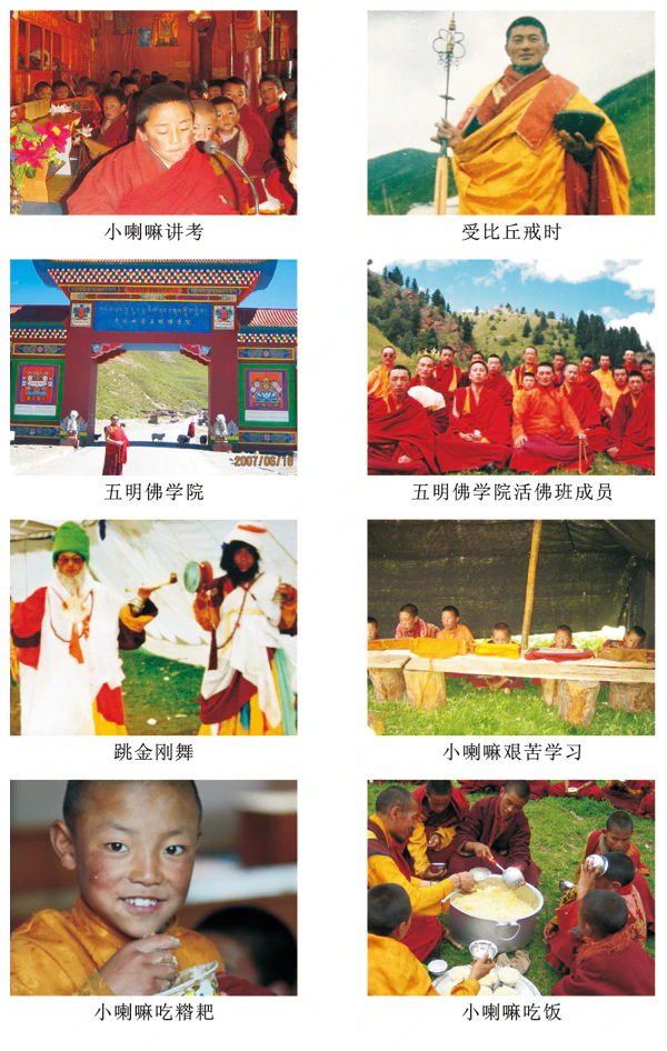 A composite of eight archival photographs documenting a teaching, a school, monastic group portraits, Tibetan dance, a class, and a meal.
